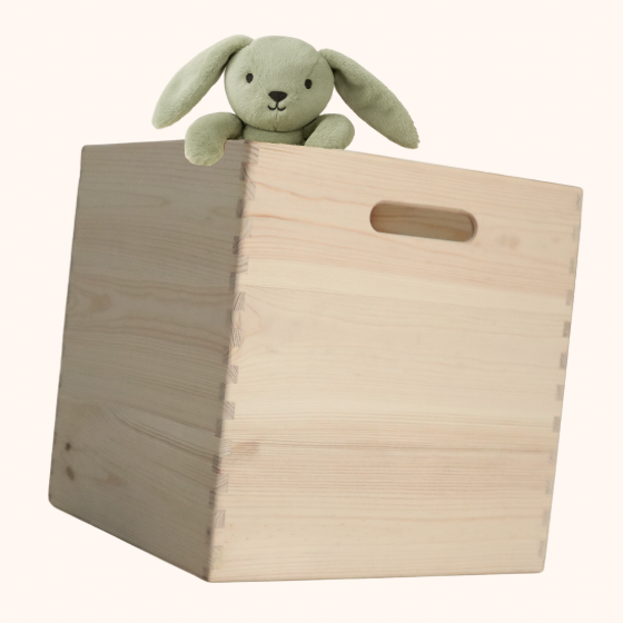 TIDYNI Cube - Spielzeugkiste aus Holz für Kallax & Co